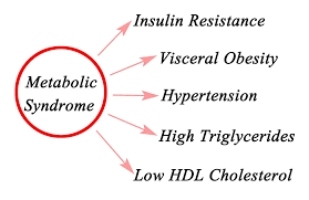Understanding Metabolic Dysfunction And ...