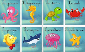 Epingle Par Lynda Ethier Sur Nomenclature Animaux Aquatiques Apprendre Les Animaux Animaux