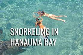 We saw so many beautiful plants and animals on the island. The Best Hanauma Bay Snorkeling Spots And Other Underwater Attractions Diving Adepts