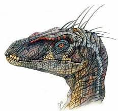 Got a new stylus so i can finally get back to business! Pin Ot Polzovatelya Rapid Na Doske Jurassic Park World Risunki Dinozavrov Doistoricheskij Park Yurskogo Perioda