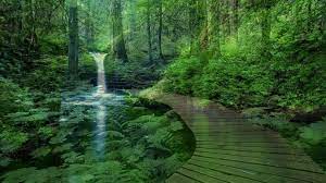 Tgr 81 Peaceful Images Pictures Of Peaceful High Resolution 35 Jason Flowers Wallpapers Designs Waterfall Scenery Scenery Scenery Wallpaper