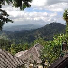 Rollington town is a neighborhood in the area of kingston, jamaica. 18 Strawberry Hills Irish Town Jamaica Ideas Strawberry Hill The Blue Mountains Blue Mountain