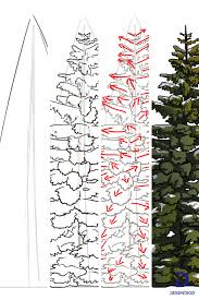 Comment Dessiner Un Arbre Comment Dessiner Un Arbre Comment Dessiner Dessin Arbre
