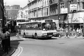 Image result for White 1983 Fleet