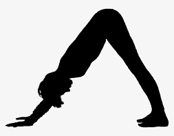 Download Yoga Pose Silhouette Png Svg Freeuse Library Downward Dog Pose Black And White Transparent Png 800x800 Free Download On Nicepng
