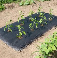 Le chapeau de jardinier est un chapeau en grosse paille ce. Les Paillages Ferme De Sainte Marthe