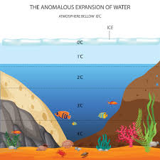 Anomalous Behavior/Expansion Of Water - Youtube