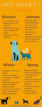 This Pet Safety Infographic Will Help You To Easily Visualize These Pet Safety Tips For Year Round Pet Safety Tips For Pet Safety Pet Care Tips Dog Care Tips