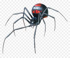 One insect that is very abundant and draws many concerns is the black widow spider (latrodectus mactans). Drawing Black Widow Spider Hd Png Download Vhv
