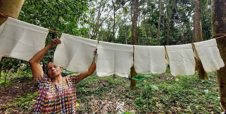 Relief for Kerala rubber farmers as price hits this year's high | Mathrubhumi English
