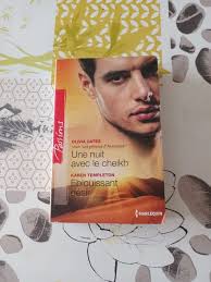Livre : Une nuit avec le cheikh de Olivia Gates/Éblouissant désir de Karen  Templeton