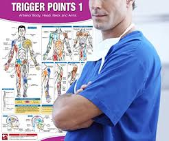 Trigger Point Therapy Chart Poster Set Acupressure Charts