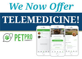 How does petpro connect work at a veterinary clinic? Veterinary Telemedicine Vet In Battle Creek Mi