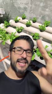 Como Montar uma Bancada Hidropônica em Casa