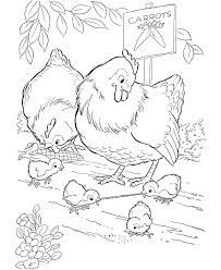 7 chicken coloring pages ideas | coloring pages, … make your world more colorful with printable coloring pages from crayola. Chicken Coloring Pages For Kids Coloring Home