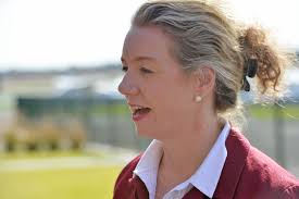 Deputy Nationals leader Bridget McKenzie linked with Mallee seat after Andrew  Broad steps aside