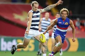 Western bulldogs full afl playing list and stats. Zu0p5qyjkuxbrm