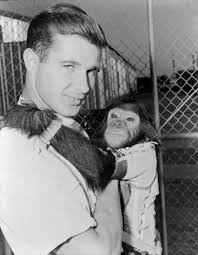 Perdus dans l'espace bénéficie d'une équipe créative particulièrement qualifiée. Enos Chimpanze Wikipedia