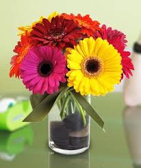 A Dazzling Daisy Design Flower Delivery Same Day Flower Delivery Gerbera Daisy Bouquet