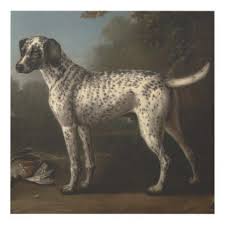 Black And Grey Spotted Dog A Grey Spotted Hound By John Wootton Panel Wall Art Zazzle Com Dog Art Dog Paintings Canine Art