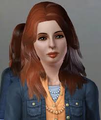 The Children of Sunset Valley