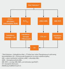 Prinzipien Der Aml Therapie Springerlink
