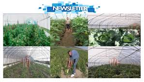 Portret de fermier cu frații cioranu |13 09 2020. Ferma Lui Alexandru Povestea Afacerii De Succes A TanÄƒrului Fermier Din Comuna Valea SeacÄƒ JudeÈ›ul IaÈ™i AsociaÈ›ia Grup Local De AcÈ›iune Siret Moldova