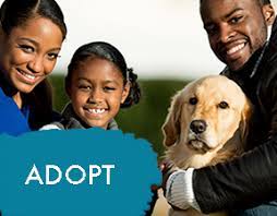 The baltimore animal rescue and care shelter. Home Montgomery County Humane Society