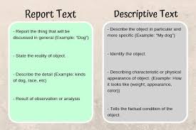 Contoh soal report text singkat dan jawabannya. Text Riport Tenteng Bebek Beserta Artinya Yang Singkat Brainly Co Id
