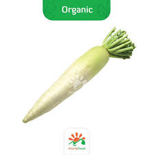 Temukan beberapa manfaat lobak putih di sini. Jual Lobak Putih Daikon Organik Muriafresh 500 Gram Terbaru Juli 2021 Blibli