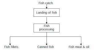 cleaner production in fish processing efficiency finder