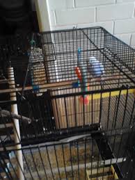 Mehr als 200.000 maschinen sofort verfügbar. Victoria Park Veterinary Clinic 974 Albany Hwy East Victoria Park Wa 6101 Australia