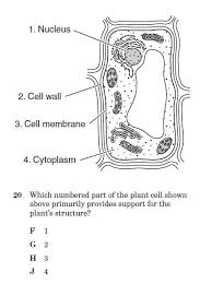Questions and answers on labeled/unlebled diagrams of a human cell. Cell Structure And Function Quiz 2 Proprofs Quiz