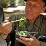 Foraging Instructors