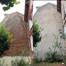 Enlevement Lierres Triel Sur Seine 78510 Artisan My Renovation