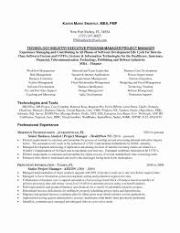 H1b Premium Processing Resume 2019 98 Awesome Free Resume Templates For 2019 Resume Exam Project Manager Resume Resume Examples Software Development Life Cycle