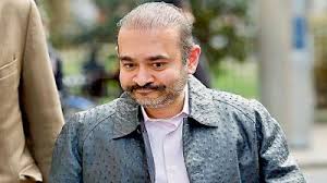 Nikki patricks petite porno weigh in. Interpol Issues Global Arrest Warrant Against Fugitive Nirav Modi S Wife Ami