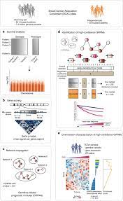 Salary packages are the very important things in the current industry. A Network Analysis To Identify Mediators Of Germline Driven Differences In Breast Cancer Prognosis Nature Communications