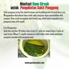 Pin Oleh Yuliana Tulak Di Herbal Sakit Pinggang Sakit Punggung Tanaman Obat Obat Alami