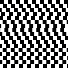 Image result for illusion pictures