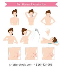 Mammary Cancer Stock Vectors Images Vector Art Shutterstock