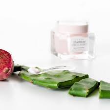 If you have got skins that. Why Cactus Water Is The Best Ingredient For Your Skin According To Starskin Co Founder Nicole Arnoldussen Lifestyle Asia Bangkok