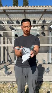 I made the trip down to Hilmar, Ca yesterday to drop off my team at  American Grand National @agnrace .Thank you Tim and Tami Perry for the AGN  shirts for my family