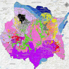 Localiza puerto morelos hoteles en un mapa basado en la popularidad, precio o disponibilidad y consulta opiniones, fotos y ofertas en tripadvisor. Mapas Secretaria De Desarrollo Sustentable