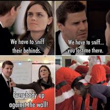 Pin By Kara Eftink On Bones In 2020 Cast Of Bones Booth And Bones Top Tv Shows