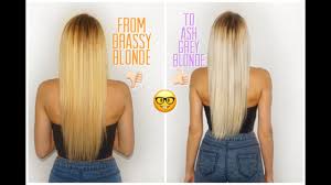 Colorists separate blonde haircolors into three categories: How To Tone Brassy Blonde Hair To Cool Toned Ash Grey Blonde D I Y Ingrida G Youtube
