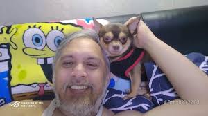 My name is: Dale My breed is: Chihuahua My age is: 10 years My nickname is:  ￼ eggy My favorite food is: egg (obviously) My favorite human: mom (and  granny) My biggest