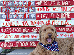Fourth of July: Keeping Rex Relaxed with Six Tips • : Safer Family Pets