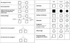 You create family trees in genopro in a familiar way, by drawing them in the way you are used to seeing family trees. 11 Medical Family Tree Ideas Family Tree Family Medical Family