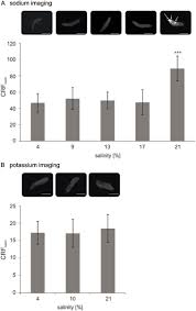 Check spelling or type a new query. Identification Of Osmoadaptive Strategies In The Halophile Heterotrophic Ciliate Schmidingerothrix Salinarum